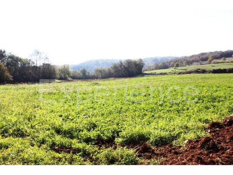 Zona di Montona: terreno agricolo ai margini dell'AREA EDIFICABILE