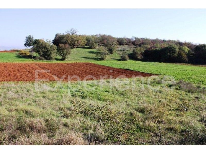 Zona di Montona: terreno agricolo ai margini dell'AREA EDIFICABILE