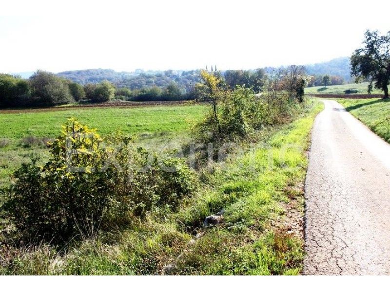 Zona di Montona: terreno agricolo ai margini dell'AREA EDIFICABILE