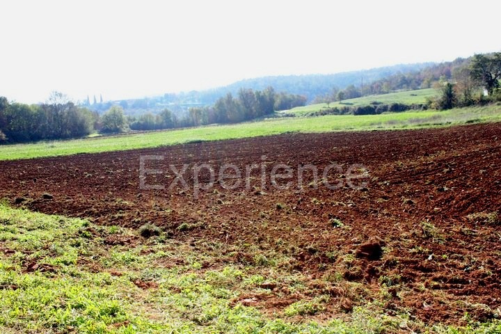 Zona di Montona: terreno agricolo ai margini dell'AREA EDIFICABILE