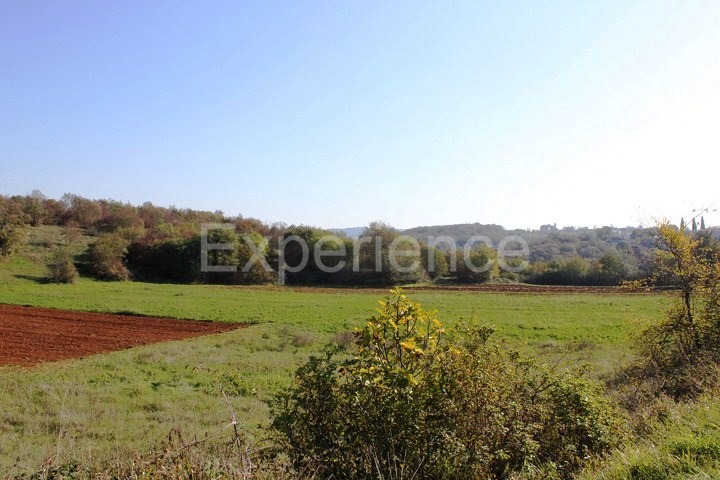 Zona di Montona: terreno agricolo ai margini dell'AREA EDIFICABILE