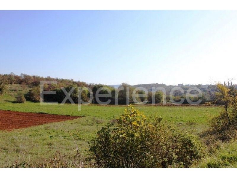 Zona di Montona: terreno agricolo ai margini dell'AREA EDIFICABILE