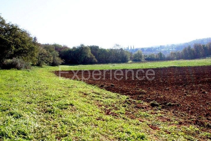 Zona di Montona: terreno agricolo ai margini dell'AREA EDIFICABILE