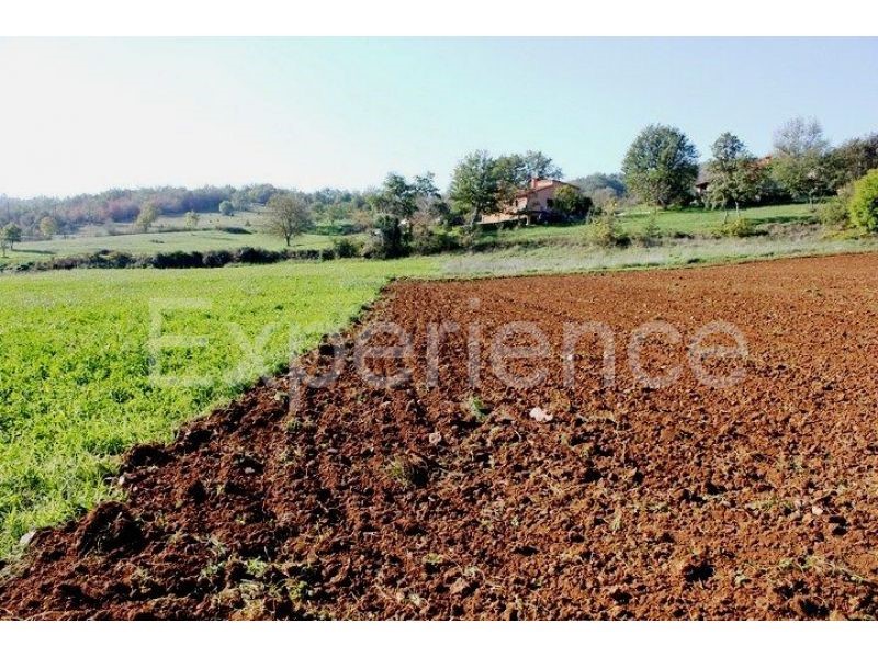 Zona di Montona: terreno agricolo ai margini dell'AREA EDIFICABILE