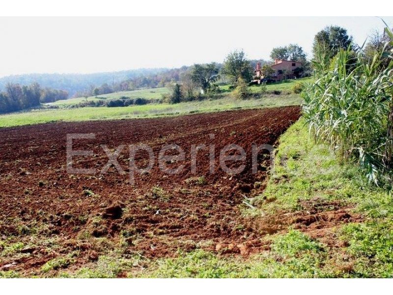 Zona di Montona: terreno agricolo ai margini dell'AREA EDIFICABILE