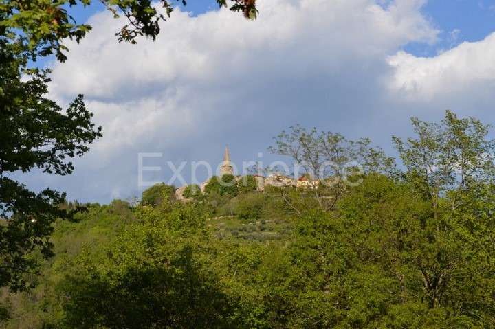 Grožnjan, tenuta 100.000 m² con casa, zona edificabile e vista