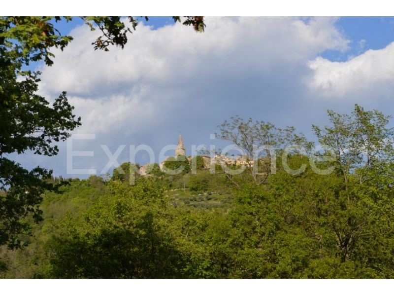 Grožnjan, tenuta 100.000 m² con casa, zona edificabile e vista