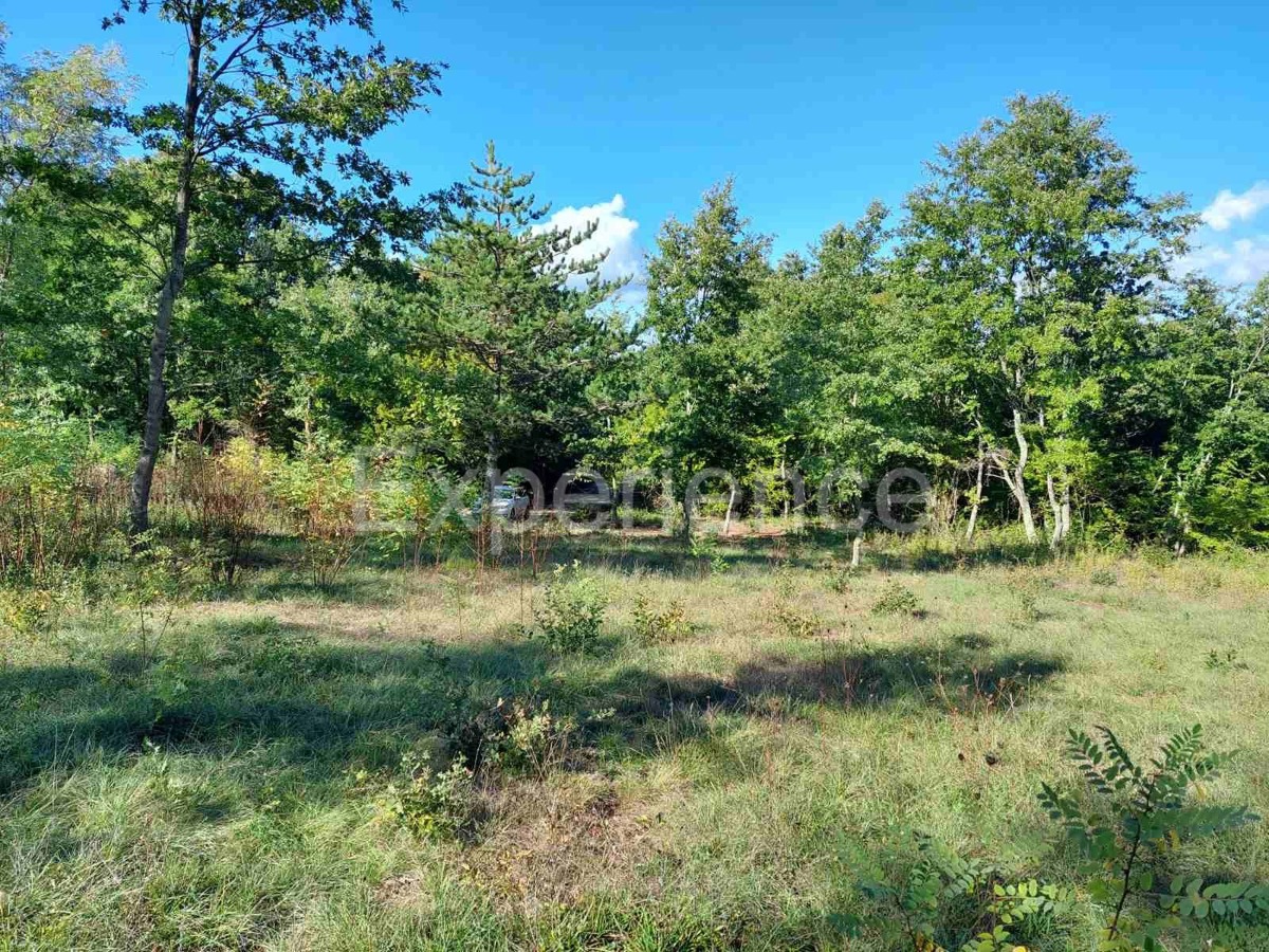 Visignano: terreno edificabile (3.337 m²) e agricolo (10.057 m²)!