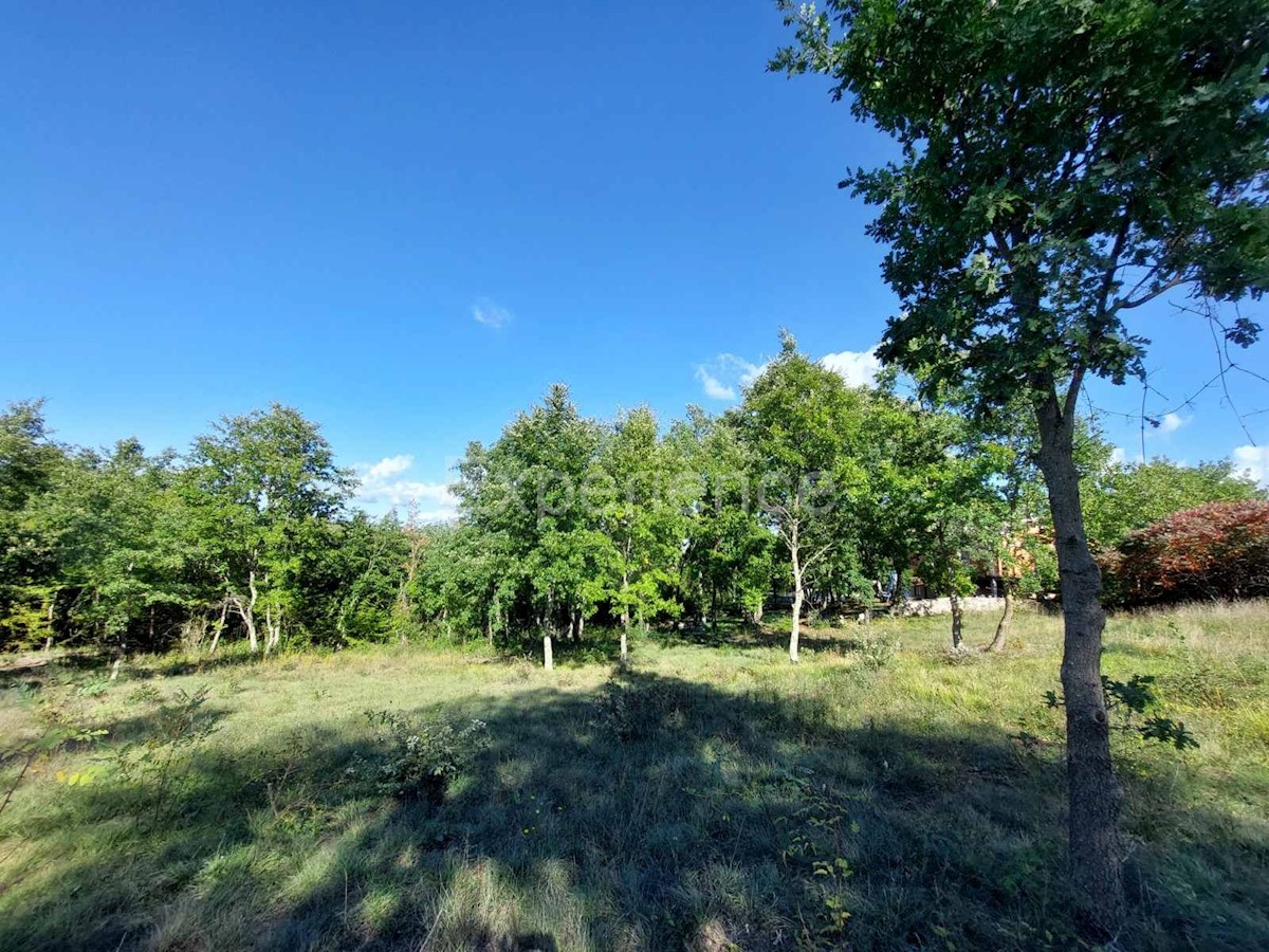 Visignano: terreno edificabile (3.337 m²) e agricolo (10.057 m²)!