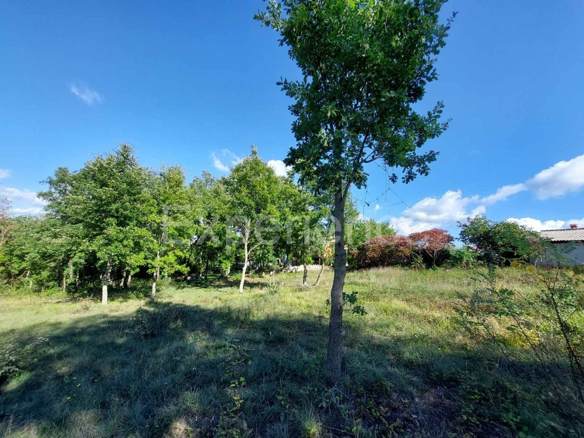 Visignano: terreno edificabile (3.337 m²) e agricolo (10.057 m²)!