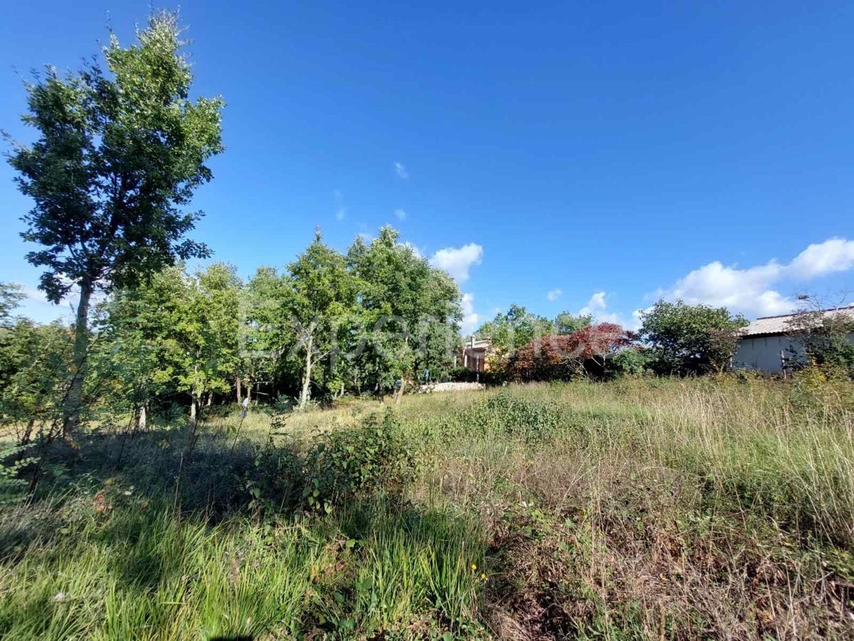 Visignano: terreno edificabile (3.337 m²) e agricolo (10.057 m²)!