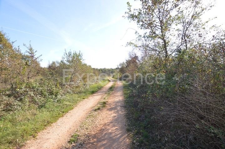 Bačva, terreno agricolo 6.118 m² con strada d’accesso