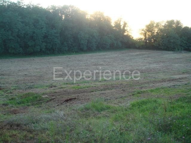 Kaštelir - terreno agricolo, superficie 12.100 m²