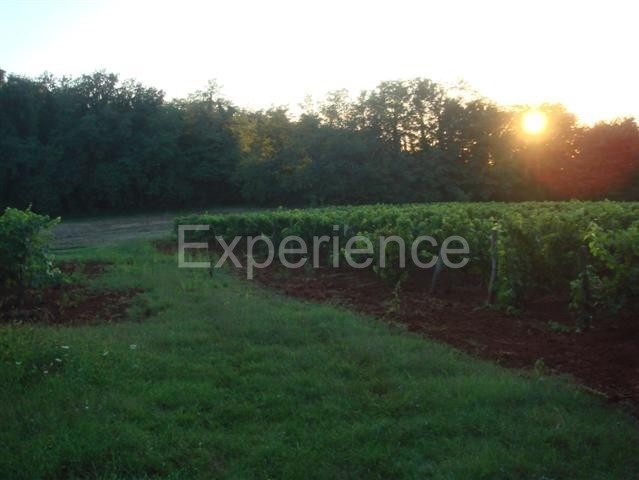 Kaštelir - terreno agricolo, superficie 12.100 m²