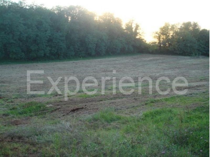 Kaštelir - terreno agricolo, superficie 12.100 m²