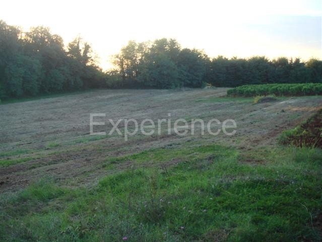 Kaštelir - terreno agricolo, superficie 12.100 m²
