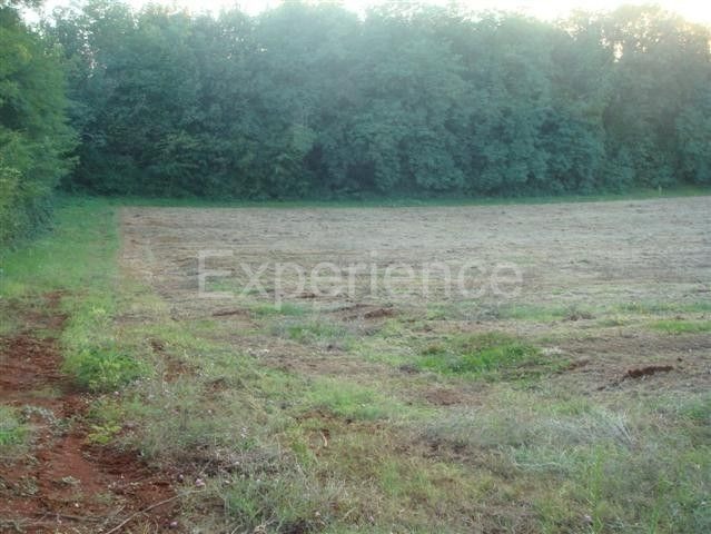 Kaštelir - terreno agricolo, superficie 12.100 m²