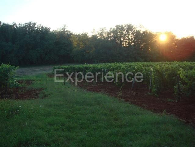 Kaštelir - terreno agricolo, superficie 12.100 m²