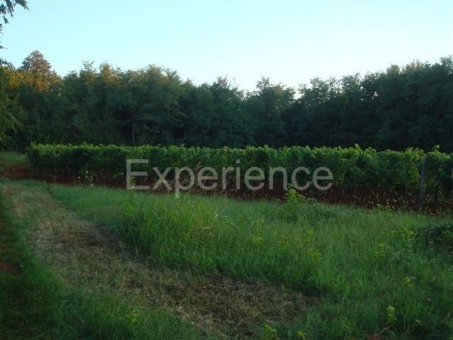 Kaštelir - terreno agricolo, superficie 12.100 m²