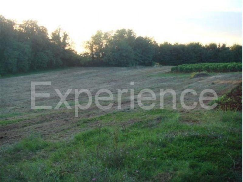 Kaštelir - terreno agricolo, superficie 12.100 m²
