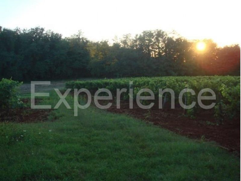 Kaštelir - terreno agricolo, superficie 12.100 m²