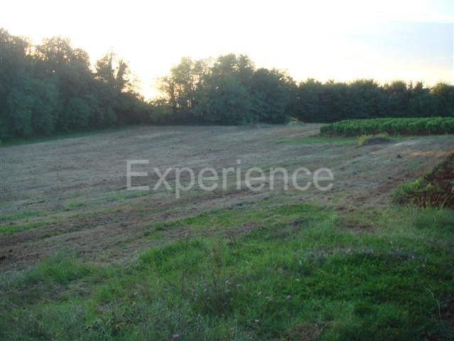 Kaštelir - terreno agricolo, superficie 12.100 m²
