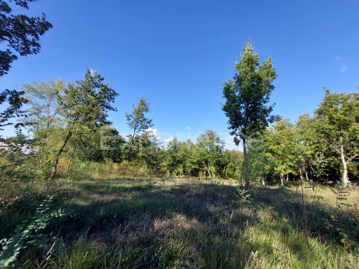 Nelle vicinanze di Visignano - terreno edificabile, superficie di 1.813 m²