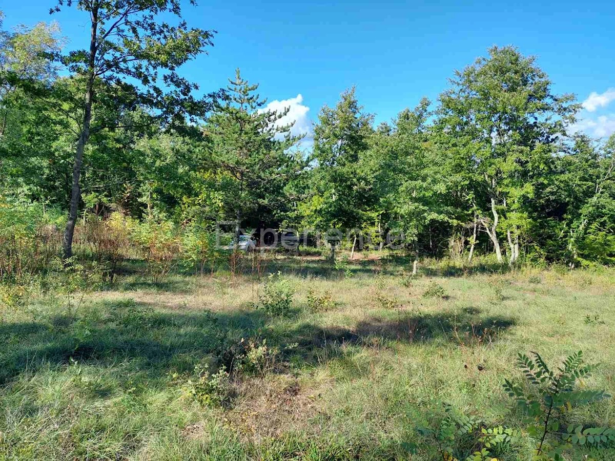 Nelle vicinanze di Visignano - terreno edificabile, superficie di 1.813 m²