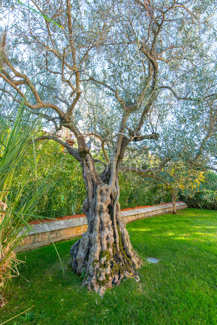 Nelle vicinanze di Parenzo - 1.000 m dal mare, villa mediterranea con piscina!