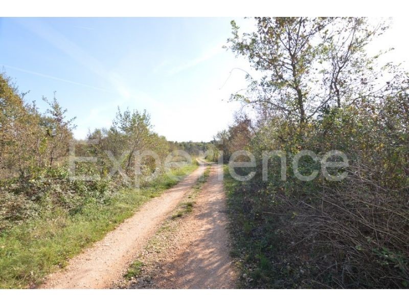 Bačva, terreno agricolo 15.338 m² con strada d’accesso
