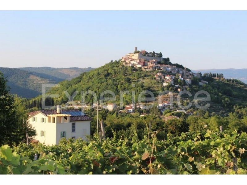 Motovun, villa con piscina e vista, 4 camere, zona tranquilla