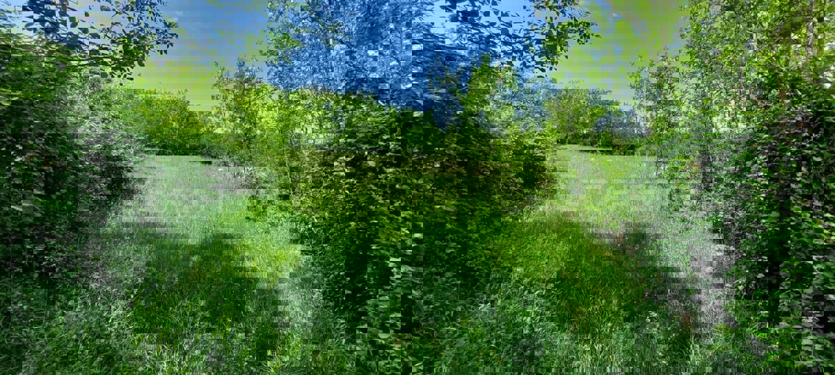 Terreno agricolo vicino a Baderna – posizione ideale vicino alla ZONA EDIFICABILE!