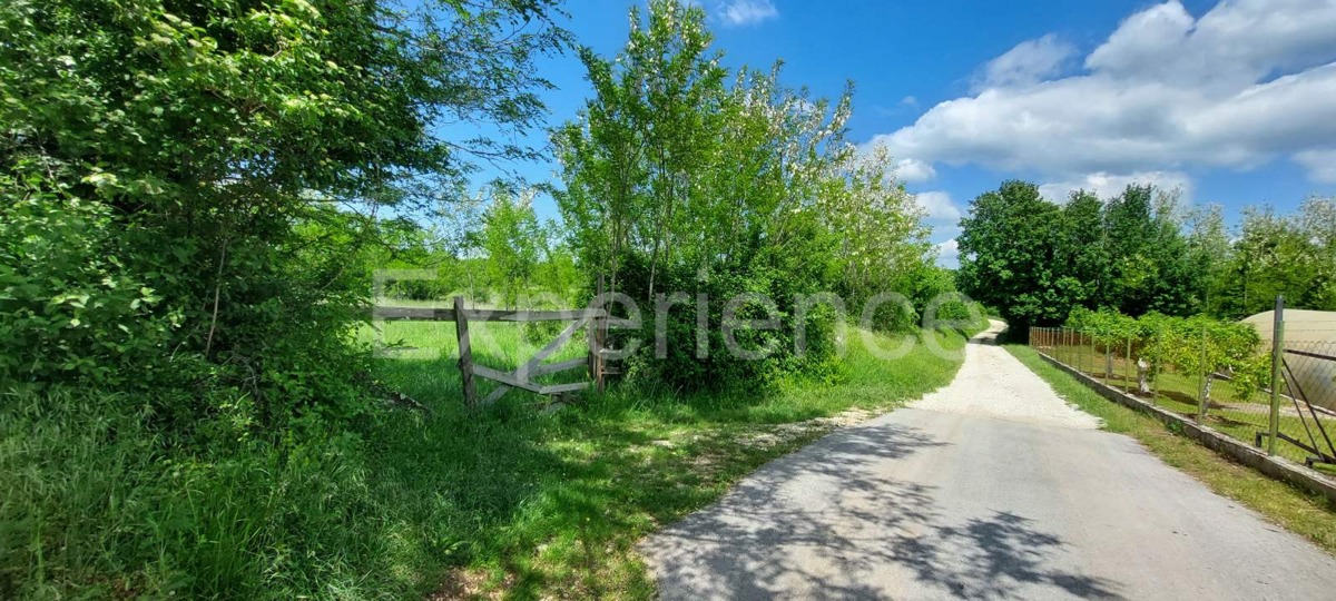 Terreno agricolo vicino a Baderna – posizione ideale vicino alla ZONA EDIFICABILE!