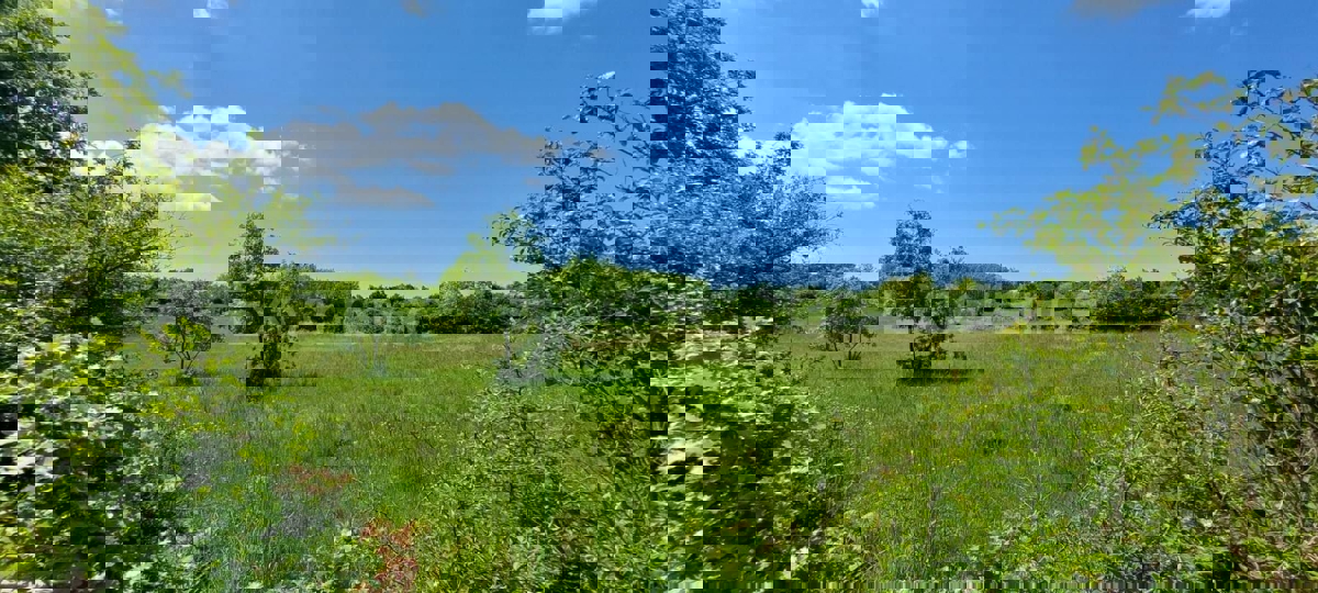 Terreno agricolo vicino a Baderna – posizione ideale vicino alla ZONA EDIFICABILE!