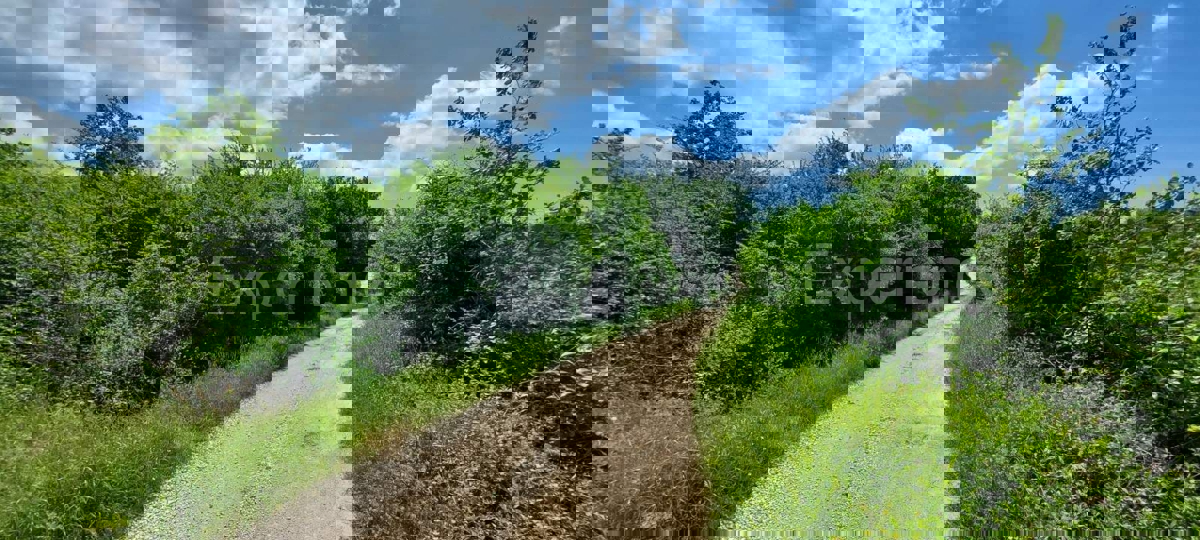 Terreno agricolo vicino a Baderna – posizione ideale vicino alla ZONA EDIFICABILE!