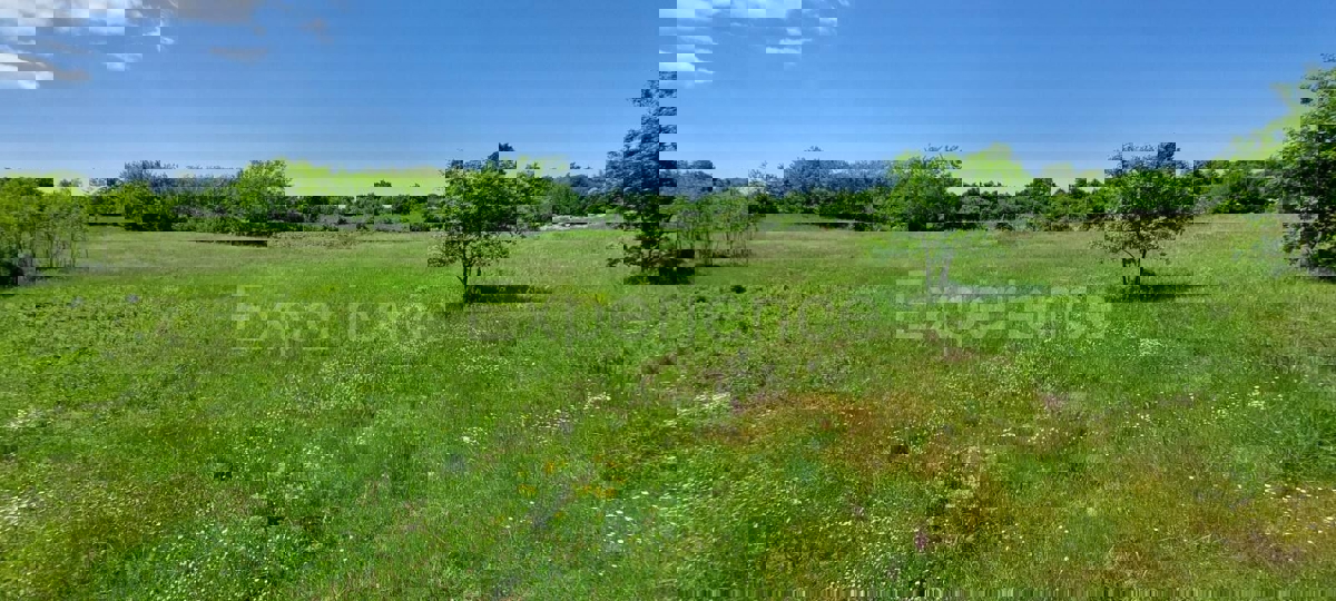 Terreno agricolo vicino a Baderna – posizione ideale vicino alla ZONA EDIFICABILE!