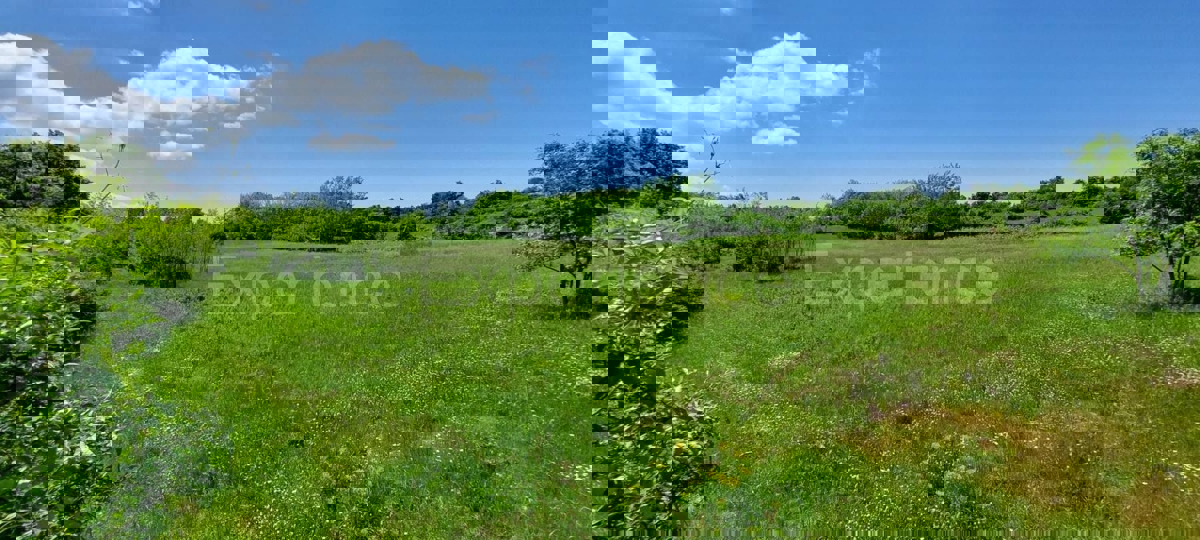 Terreno agricolo vicino a Baderna – posizione ideale vicino alla ZONA EDIFICABILE!