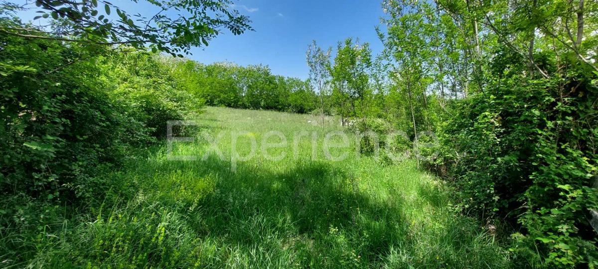 Terreno agricolo vicino a Baderna – posizione ideale vicino alla ZONA EDIFICABILE!