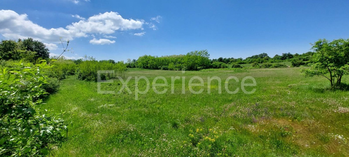 Terreno agricolo vicino a Baderna – posizione ideale vicino alla ZONA EDIFICABILE!