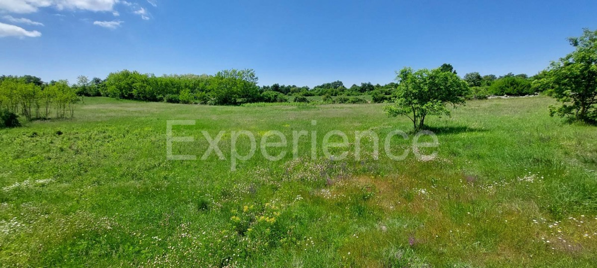 Terreno agricolo vicino a Baderna – posizione ideale vicino alla ZONA EDIFICABILE!