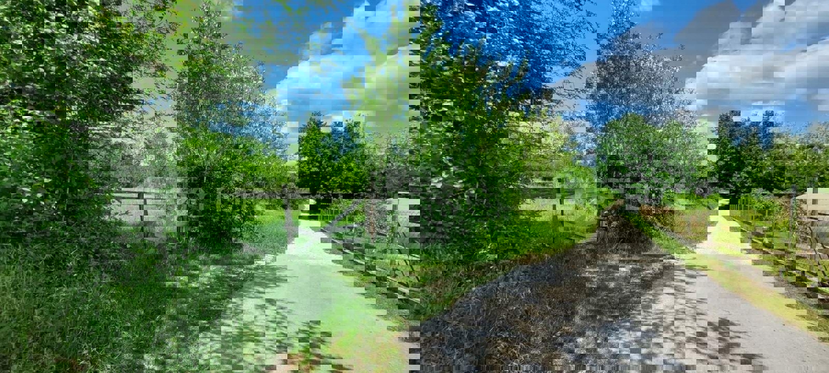 Terreno agricolo vicino a Baderna – posizione ideale vicino alla ZONA EDIFICABILE!