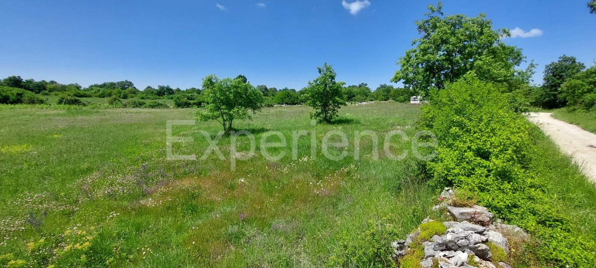 Terreno agricolo vicino a Baderna – posizione ideale vicino alla ZONA EDIFICABILE!