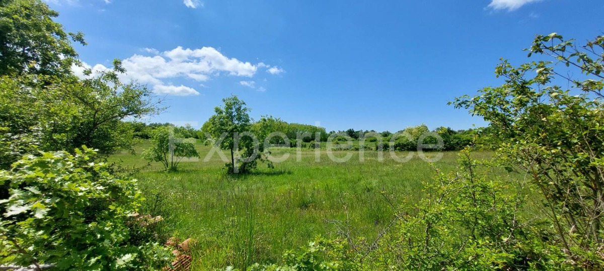 Terreno agricolo vicino a Baderna – posizione ideale vicino alla ZONA EDIFICABILE!