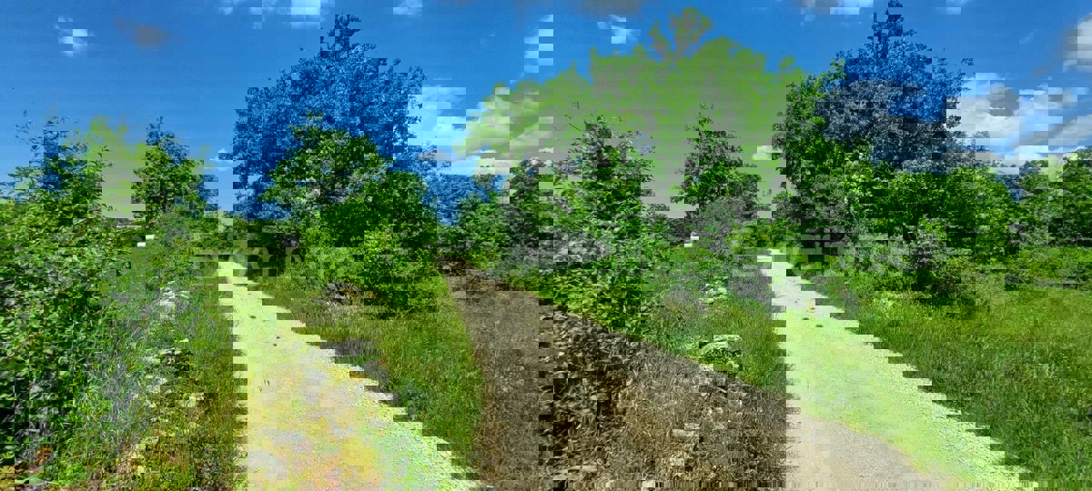 Terreno agricolo vicino a Baderna – posizione ideale vicino alla ZONA EDIFICABILE!