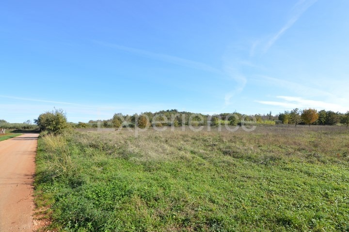 Bačva, terreno agricolo 7.000 m² – seminativo pulito