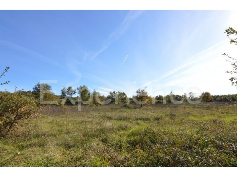 Bačva, terreno agricolo 7.000 m² – seminativo pulito