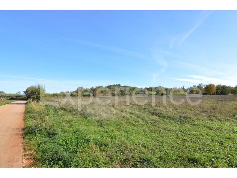 Bačva, terreno agricolo 7.000 m² – seminativo pulito