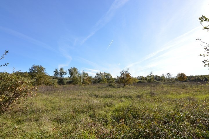 Bačva, terreno agricolo 7.000 m² – seminativo pulito