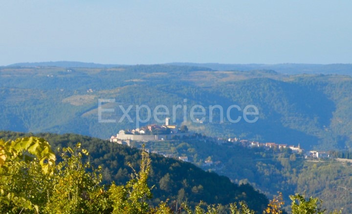 Motovun, tenuta 44.000 m² con terreno edificabile e vista