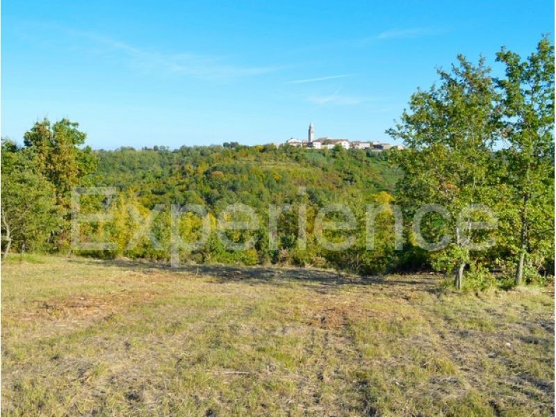 Motovun, tenuta 44.000 m² con terreno edificabile e vista